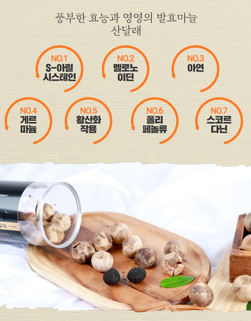 상세페이지 레이아웃 시안 컷 - 블록형 구성 테스트