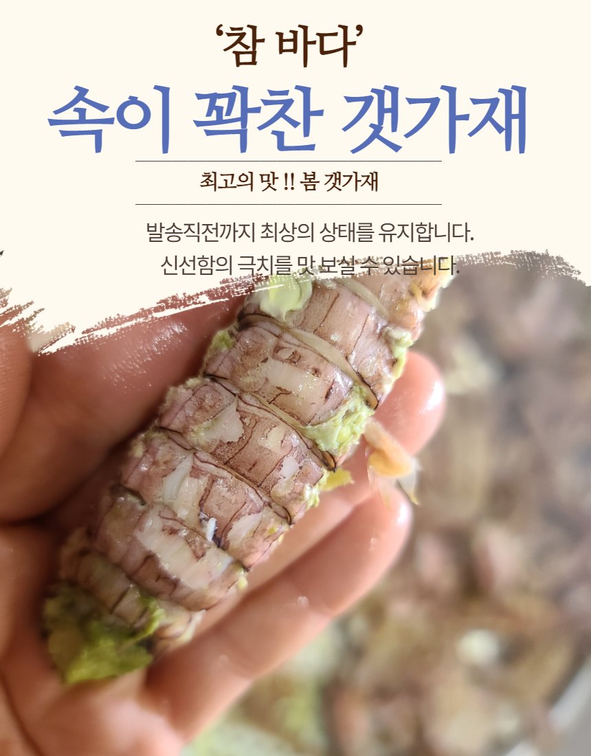 갯가재 디테일 — 집게와 몸체 질감