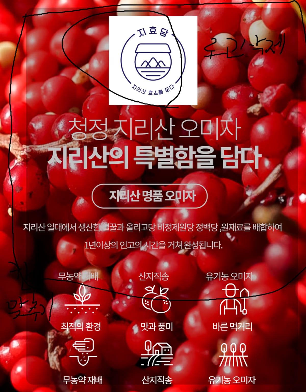 오미자 원재료와 제품 함께 촬영