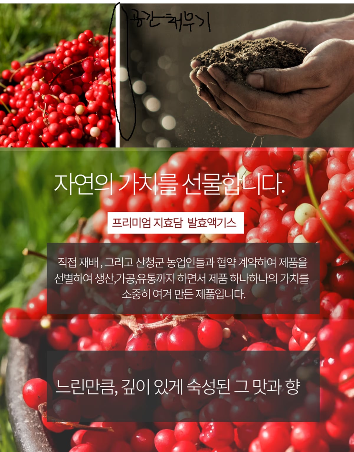 오미자 제품 라인업