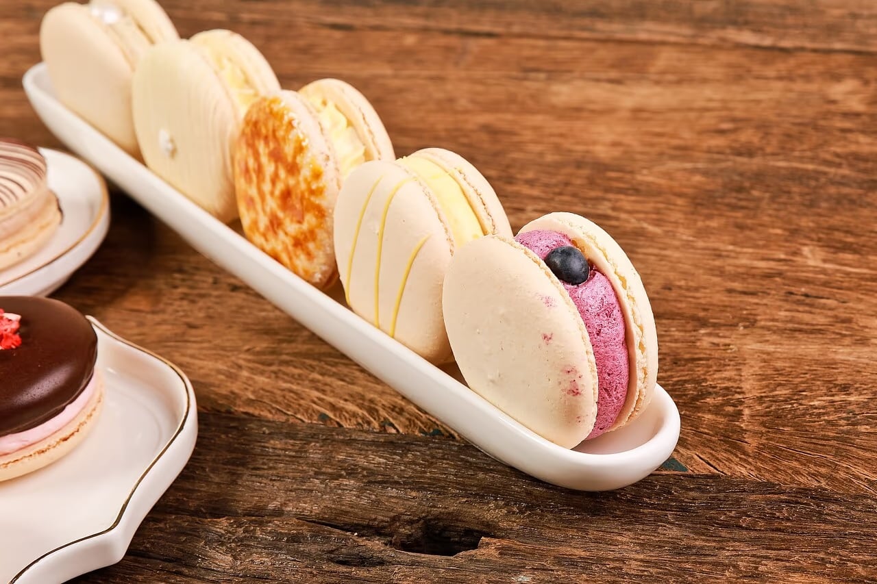 마카롱 라인업 컷 - 시즌 메뉴 비교용 정렬