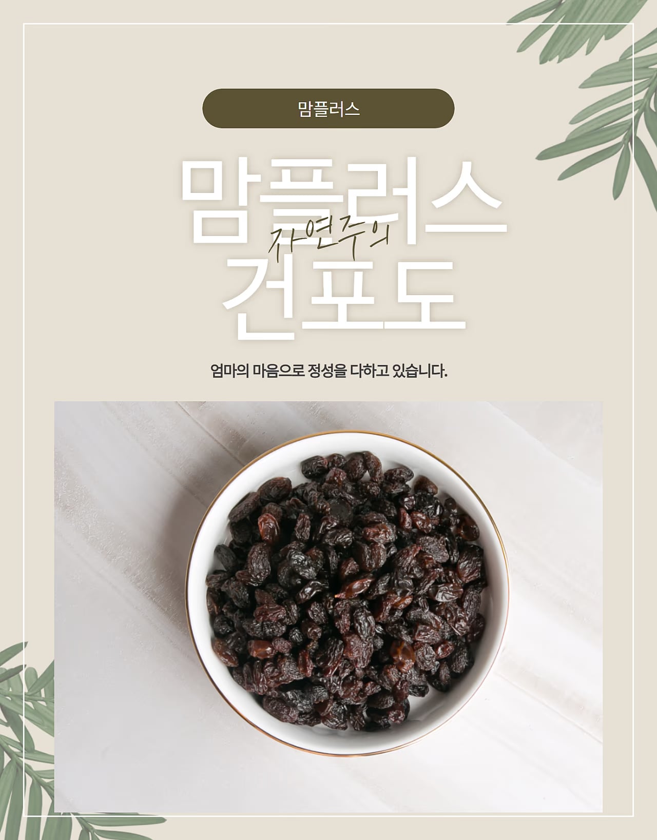 상세페이지 성분 안내 컷 - 알갱이 분포 강조