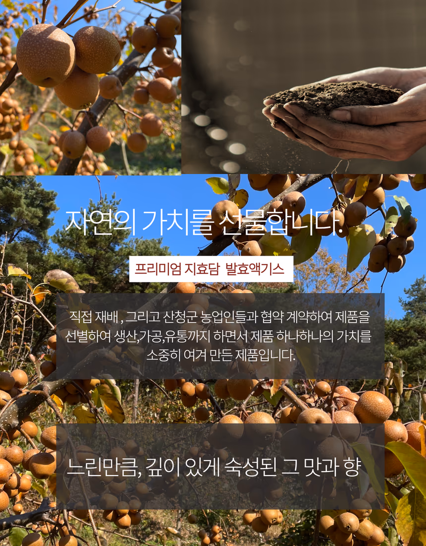 오미자·돌배 액기스 음식사진 촬영 포트폴리오 - 건강식품 상세페이지 사례