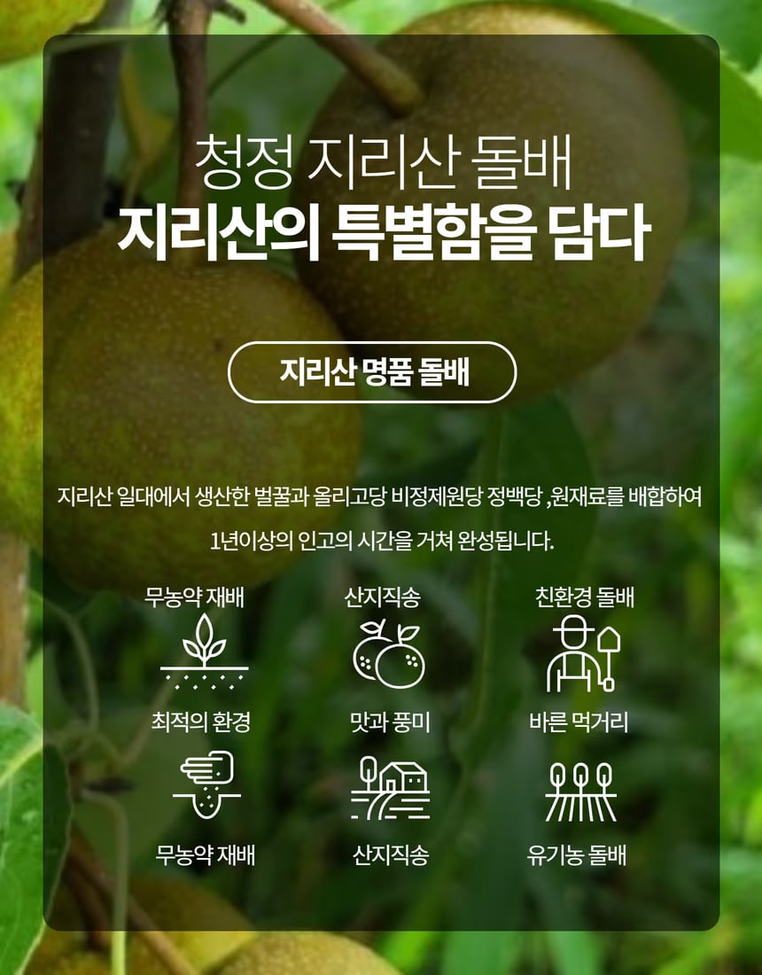 오미자·돌배 비교 컷 - 두 종류 색 차이 한눈에