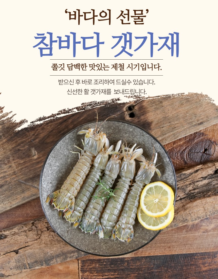 갯가재 정렬 클로즈업 — 형태와 크기