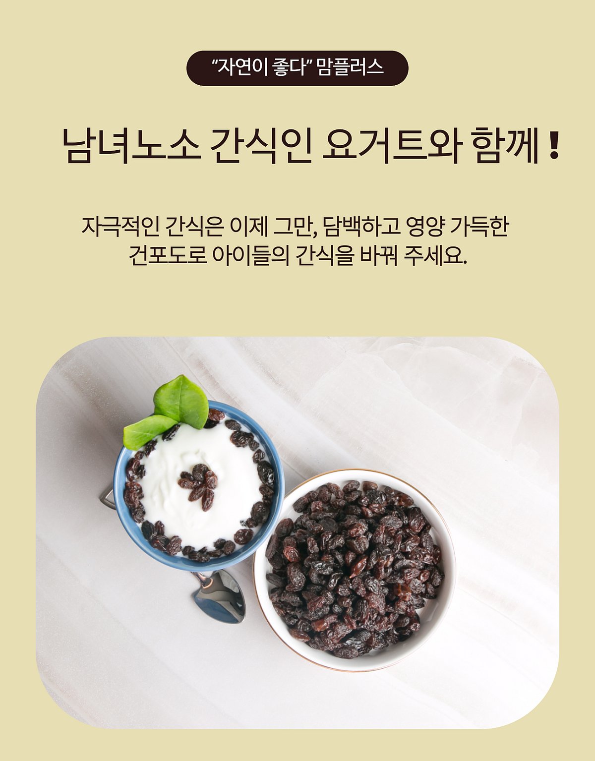 건과일 추가 컷 — 일부 그릇 클로즈업 또는 다른 소품 구성