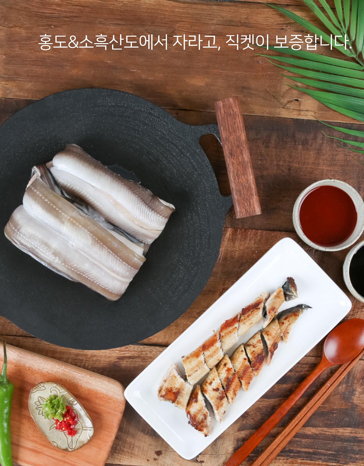 바다장어 생것과 구이 비교, 돌솥 위 생장어와 흰 접시 위 양념 구이, 소스 종지, 야자잎 소품, 홍도&소흑산도에서 자라고 직켓이 보증합니다 텍스트